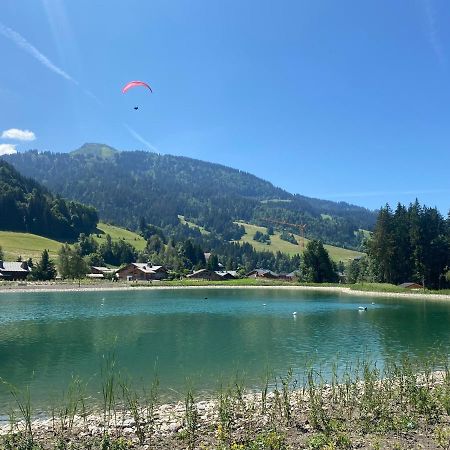 Chaleureux Appartement Renove Ambiance Chalet Praz-sur-Arly Eksteriør billede
