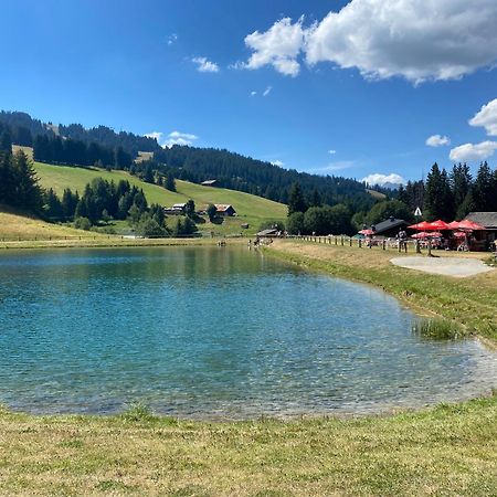 Chaleureux Appartement Renove Ambiance Chalet Praz-sur-Arly Eksteriør billede