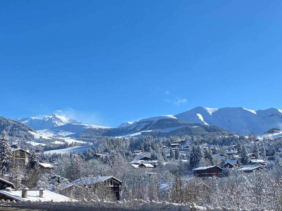 Chaleureux Appartement Renove Ambiance Chalet Praz-sur-Arly Eksteriør billede
