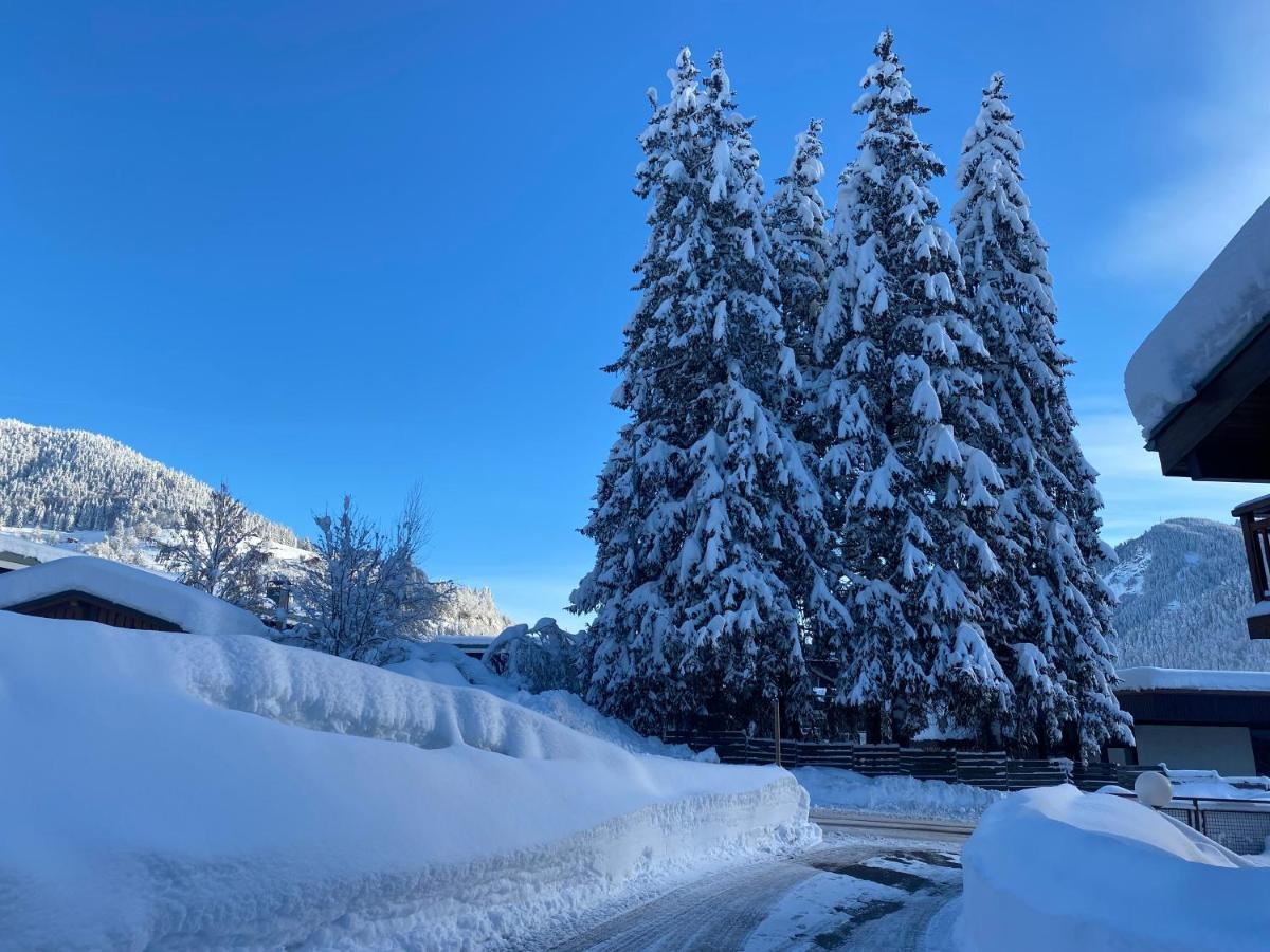 Chaleureux Appartement Renove Ambiance Chalet Praz-sur-Arly Eksteriør billede