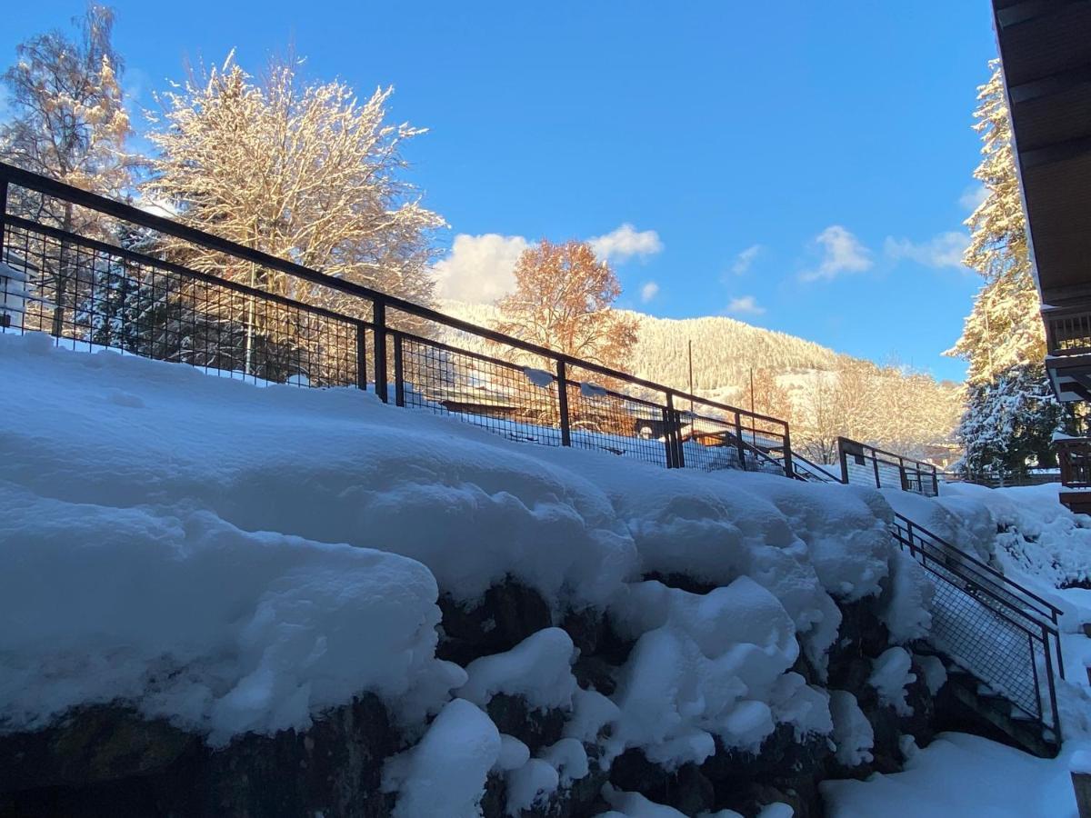 Chaleureux Appartement Renove Ambiance Chalet Praz-sur-Arly Eksteriør billede