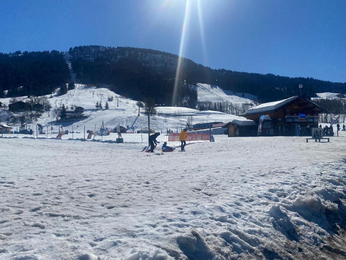 Chaleureux Appartement Renove Ambiance Chalet Praz-sur-Arly Eksteriør billede