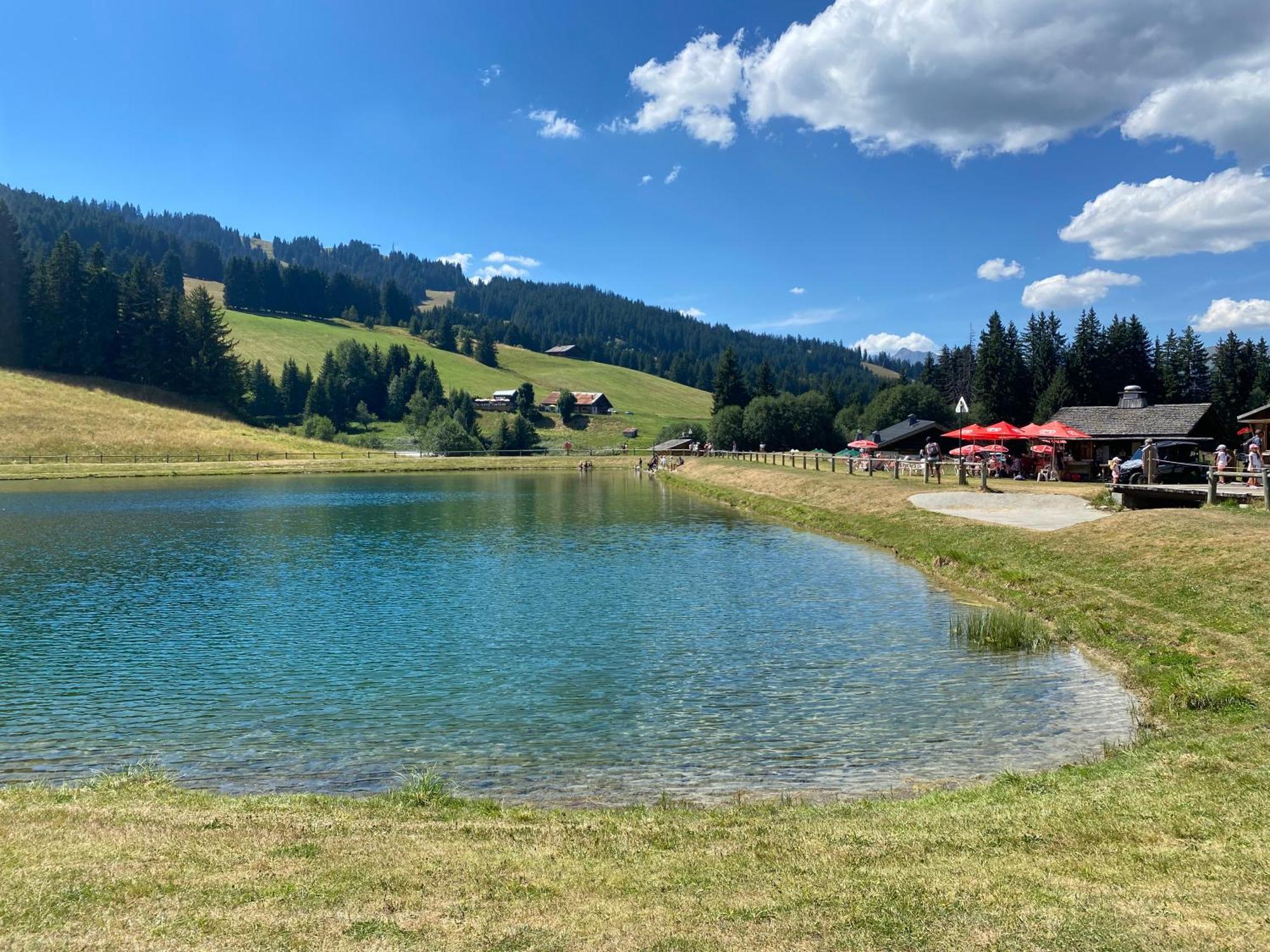 Chaleureux Appartement Renove Ambiance Chalet Praz-sur-Arly Eksteriør billede